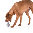 1d797b922378921c390ac18dc8c5a488.png