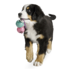 d7ac2fcd20eeabd76ca7a014f1312f07.png